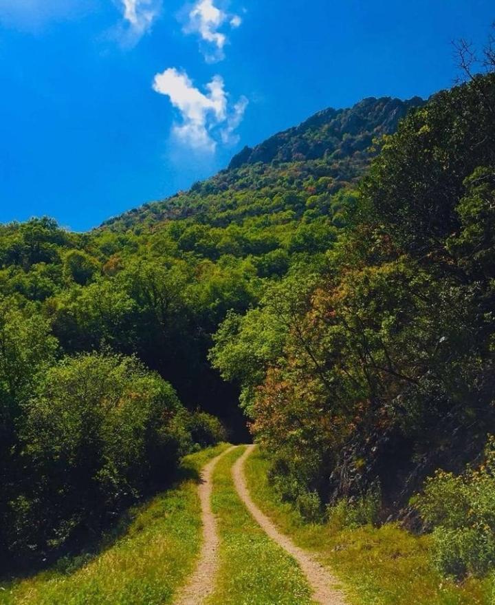 Apartmani Dumezic Bar Dış mekan fotoğraf