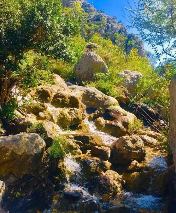 Apartmani Dumezic Bar Dış mekan fotoğraf