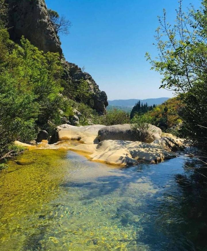 Apartmani Dumezic Bar Dış mekan fotoğraf