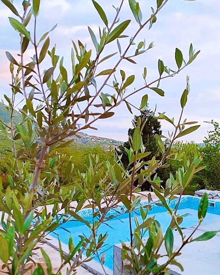 Apartmani Dumezic Bar Dış mekan fotoğraf