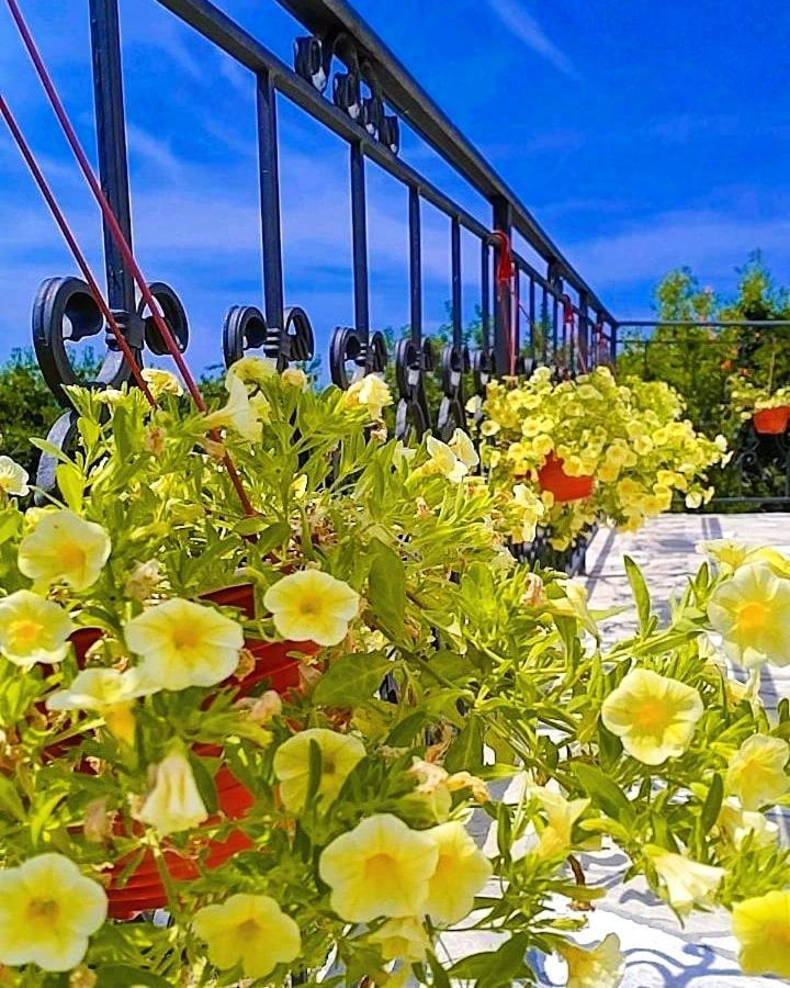 Apartmani Dumezic Bar Oda fotoğraf