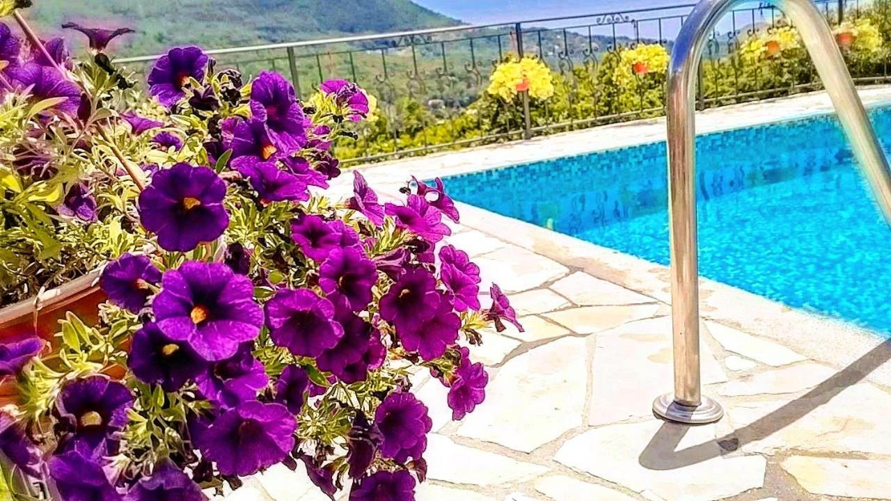Apartmani Dumezic Bar Oda fotoğraf
