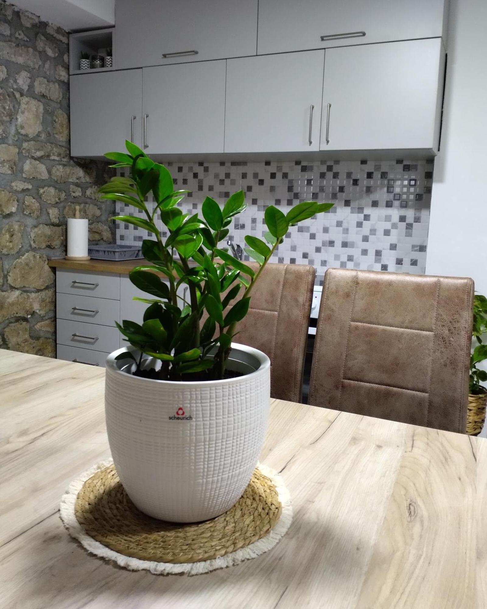 Apartmani Dumezic Bar Oda fotoğraf