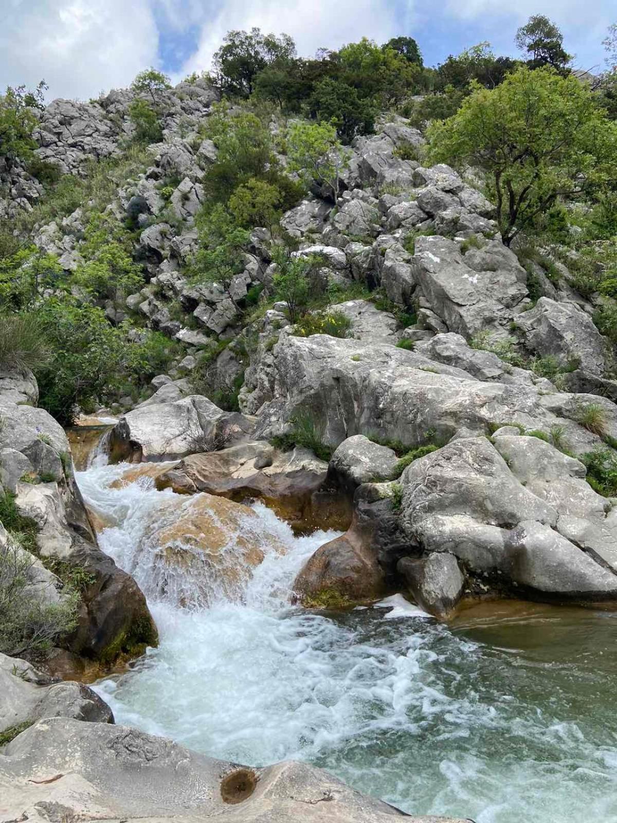 Apartmani Dumezic Bar Dış mekan fotoğraf