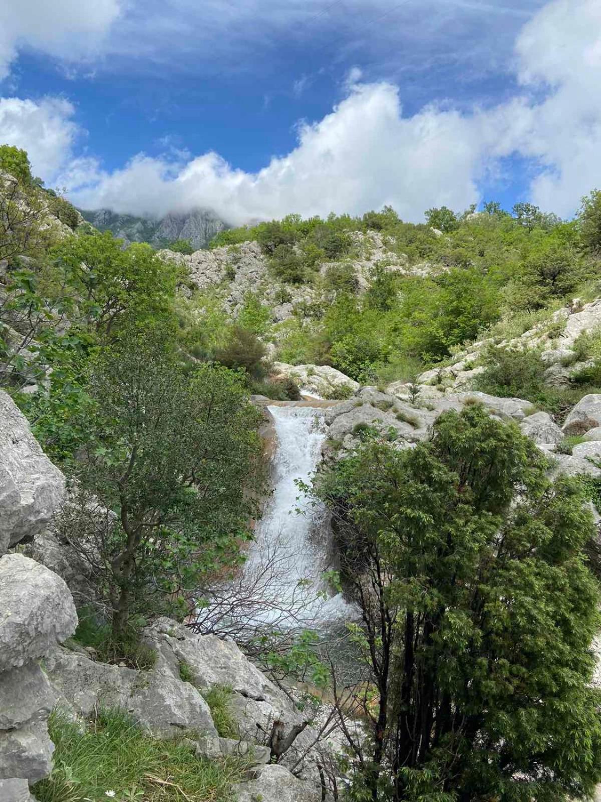 Apartmani Dumezic Bar Dış mekan fotoğraf