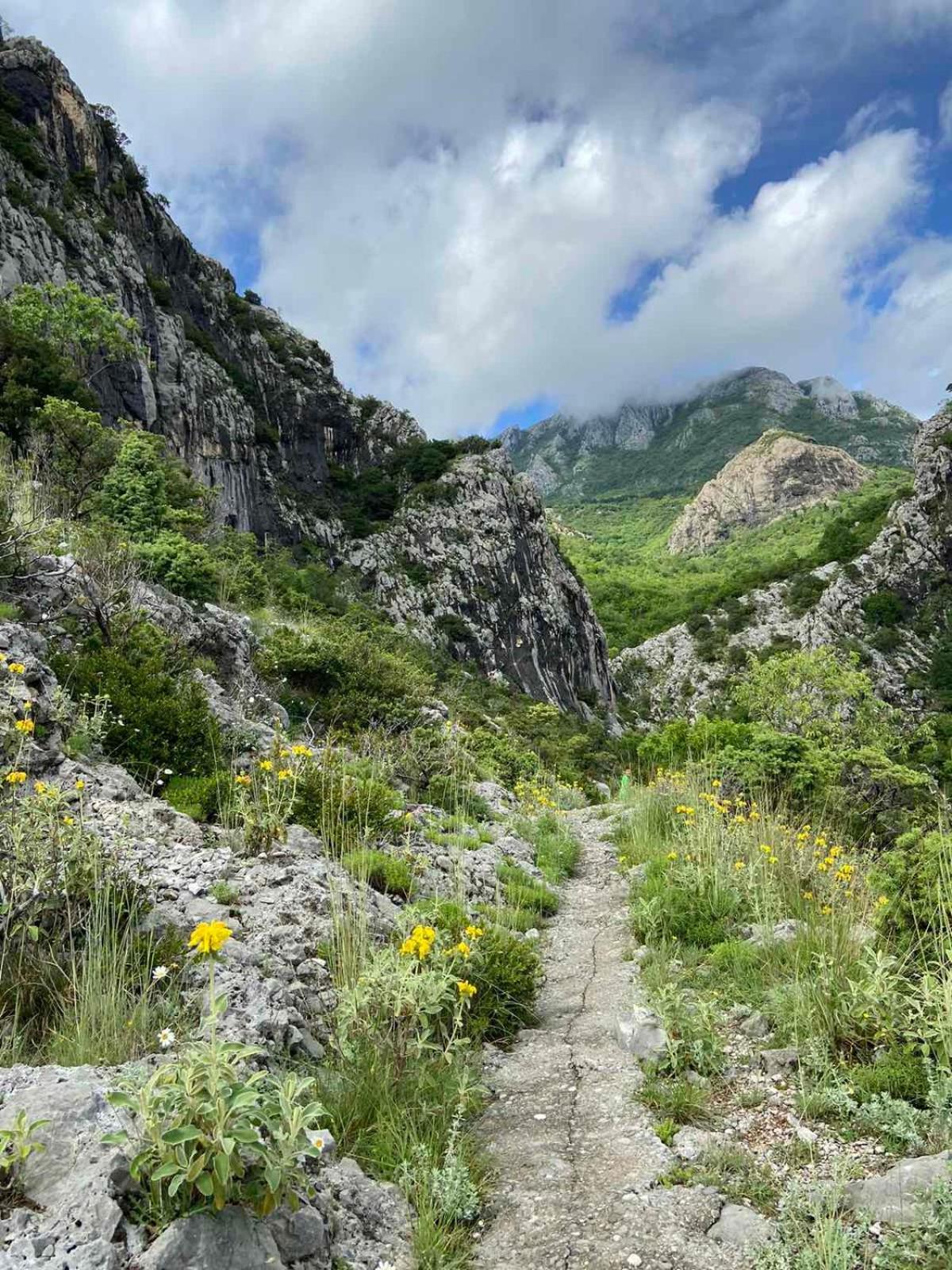 Apartmani Dumezic Bar Dış mekan fotoğraf